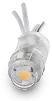 Enzo Background module 12V 0,24W SMD5050 warm wit - LED9040