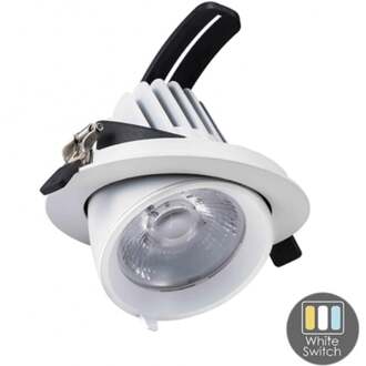 Enzo CCT LED downlighter wit 30W banaan model 45gr. Tri-White - LED2380