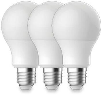 Enzo Energetic LED GLS E27 13,3-100W 2700K mat doos a3 - 2740044