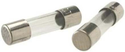 Enzo Glaszekering traag 5x20 6,3A