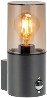 Enzo Wandlamp | E27 | met sensor | rond | antraciet IP54 - 5087100