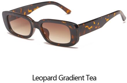 Epicool Klassieke Retro Zonnebril Vrouwen Kleine Vierkante Frame Zonnebril Dames Ocean Lens Zonnebril Oculos UV400 luipaard Gradient thee