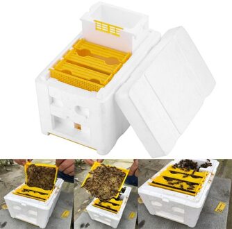 Eps Bijenteelt Box Tuin Bestuiving Honingraat Building Bestuiving Doos Verstelbare Temperatuur Bijenteelt Tool Voor Tuin