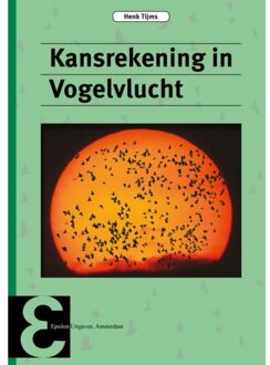 Epsilon Uitgaven Kansrekening In Vogelvlucht - Epsilon Uitgaven - Henk Tijms