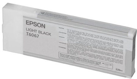 Epson Inkt T6067 Origineel Lichtzwart C13T606700