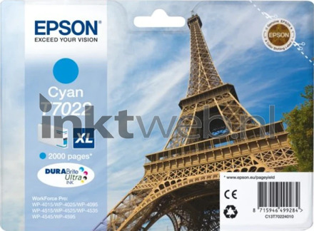 Epson Inktcartridge Epson T7022 blauw HC