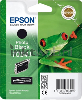 Epson T0541 foto zwart cartridge