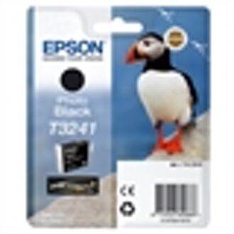 Epson T3241 Cartridge Fotozwart (C13T32414010)