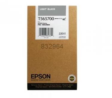 Epson T6067 1x Licht zwart ml