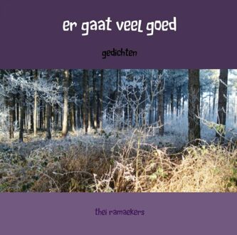 Er gaat veel goed - eBook Thei Ramaekers (9402112456)