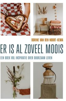 Er Is Al Zoveel Moois - Dorine van den Noort-Kema
