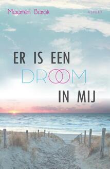 Er is een droom in mij - Boek Maarten Barok (9463382925)