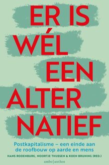 Er is wél een alternatief - Hans Rodenburg, Noortje Thijssen, Koen Bruning - ebook