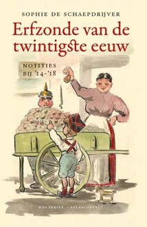 Erfzonde van de twintigste eeuw - eBook Sophie de Schaepdrijver (9089242708)