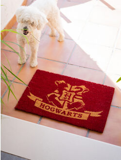 Erik Doormat Harry Potter Hogwarts