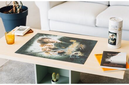 Erik Harry Potter And The Chamber Of Secrets 500 Pieces Puzzle