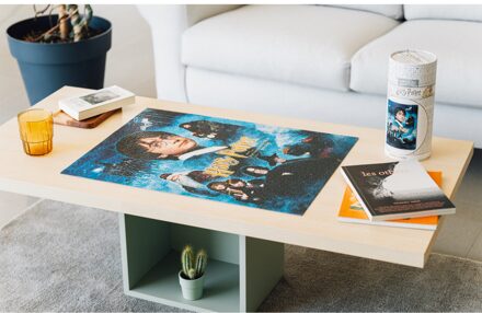 Erik Harry Potter And The Philosopher'S Stone 500 Pieces Puzzle