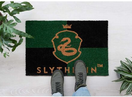 Erik Harry Potter Slytherin Door Mat