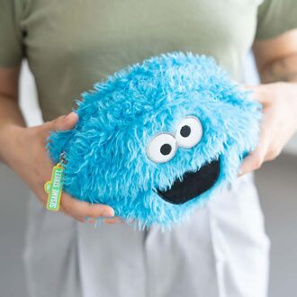 Erik Sesame Street Plush Case