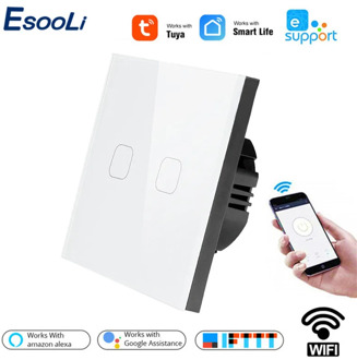 Esooli EU Standard Tuya/Smart Life/ewelink 2 Gang 1 Way WiFi Wall Light Touch Switch for Google Home Amazon Alexa Voice Control