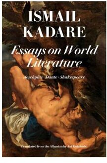 Essays On World Literature