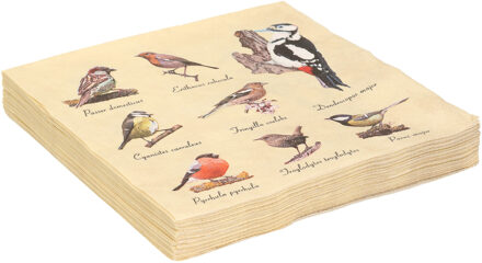 Esschert Design 20x Papieren servetten met vogels print 33 x 33 cm Multi