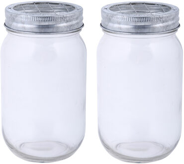 Esschert Design 2x stuks glazen bloemenvaasjes/potjes met schikdeksel 13 cm