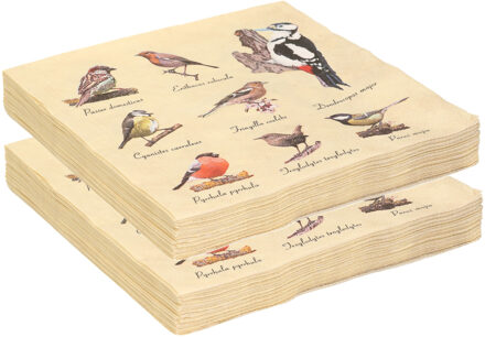 Esschert Design 40x Papieren servetten met vogels print - 33 x 33 cm - tuinvogels - 3 laags