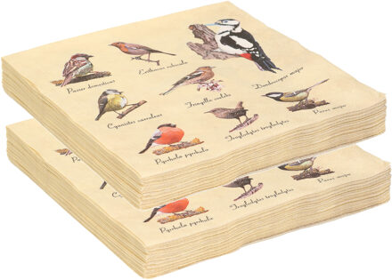Esschert Design 40x Papieren servetten met vogels print 33 x 33 cm