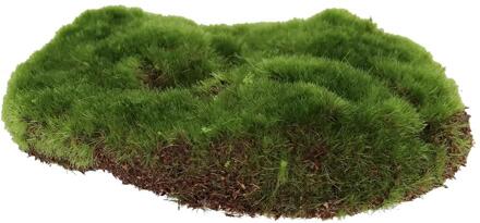 Esschert Design Kunstmos S 15x13cm groen