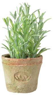 Esschert Design Kunstplant/kruiden rosemarijn - in oude terracotta pot - 16 cm - kruiden - Kunstplanten Multikleur