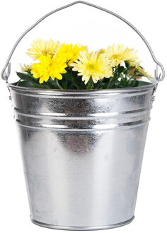 Esschert Design Plantenpot/bloempot emmer voor buiten - zink - zilver - D26 x H25 cm