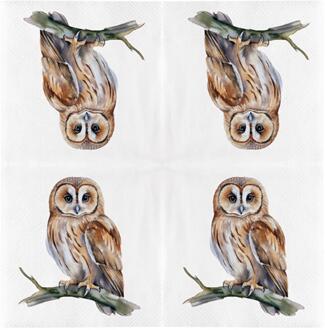 Esschert Design Servetten uil 33cm wit