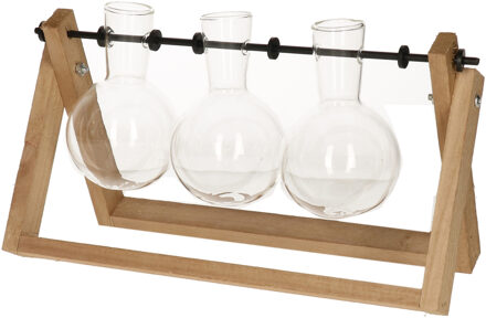 Esschert Design Stekvaasjes in houder - hout - met 3 glazen vaasjes - 26 x 7 x 15 cm - stekstation