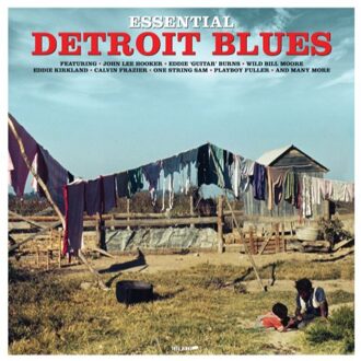Essential Detroit Blues