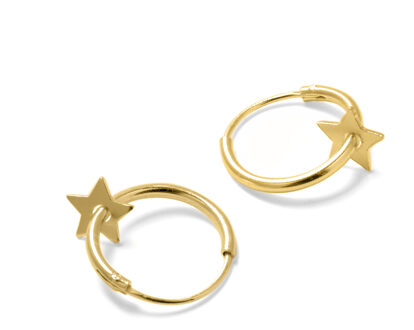 Essential oorbellen in 925 sterling zilver afgewerkt met 18 karaat geel goud