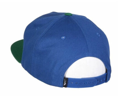 Essential snapback Blauw - One size