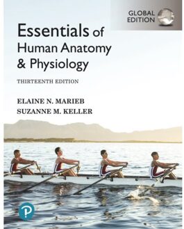 Essentials Of Human Anatomy & Physiology, Global Edition - Marieb, Elaine