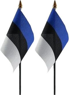 Estland - 2x - mini vlaggetje van 10 x 15 cm op stokje - Landen vlag - H27 cm