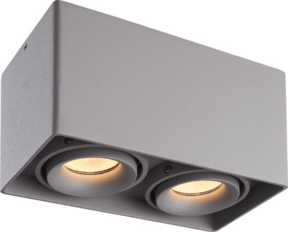Esto LED Opbouwspot - Vierkant - 2 lichts - Kantelbaar - Dimbaar - 6500K daglicht wit - GU10 - Opbouwspot - Voor binnen - Vervangbare afdekring - Grijs