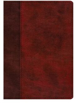 Esv Single Column Journaling Bible, Large Print - Esv Bibles