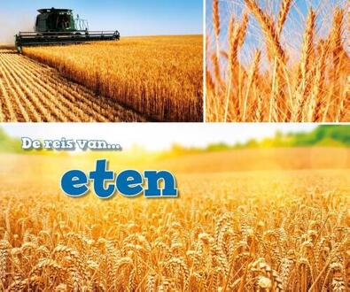 Eten - Boek Erika L. Shores (9461755767)