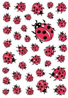 Etiket Herma Lieveheersbeestje