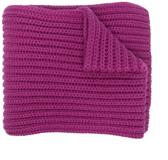 Etro Winter Scarves Etro , Purple , Dames - ONE Size