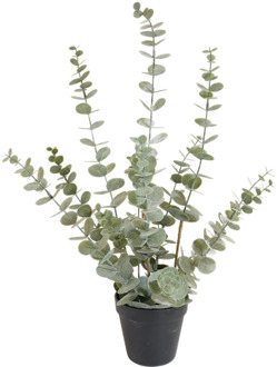 Eucalypthus kunstplant H 57cm x B 33cm