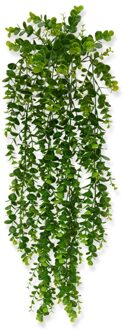 Eucalyptus Hangplant 70 cm - Kunstplant