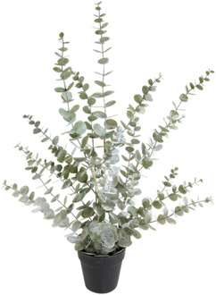 Eucalyptus kunstplant H 76cm X B 40cm