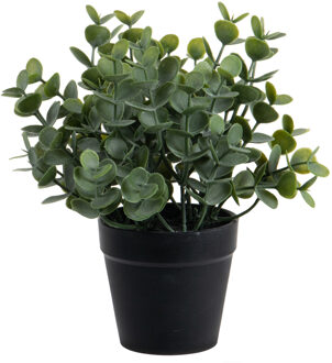 Eucalyptus Kunstplant - in pot - groen - H20 cm - Kunstplanten