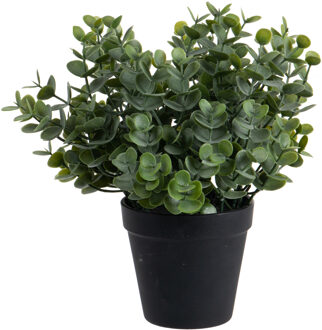 Eucalyptus Kunstplant - in pot - groen - H28 cm - Kunstplanten