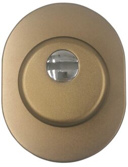 Euro Profiel Italiaanse Stijl Aluminium Materiaal Lock Protector Voor Veiligheid Deur Rozet champagne